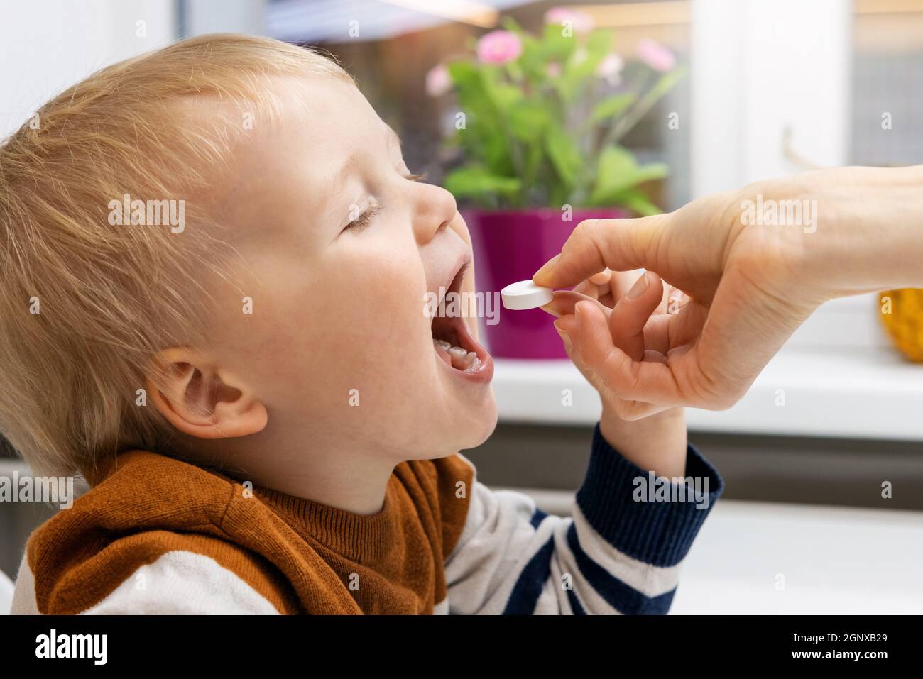 الشتاء قادم: كيف تحمين عائلتك بفيتامينات أنبودي للمناعة؟ دليل شامل ...