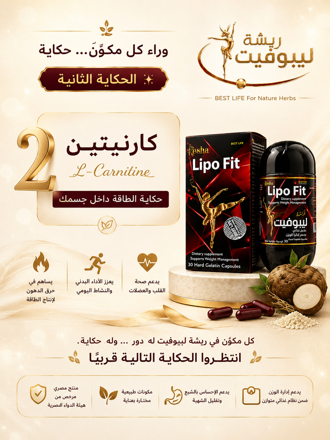 إل-كارنيتين (L-Carnitine): فوائده ودوره في دعم الطاقة وإدارة الوزن
