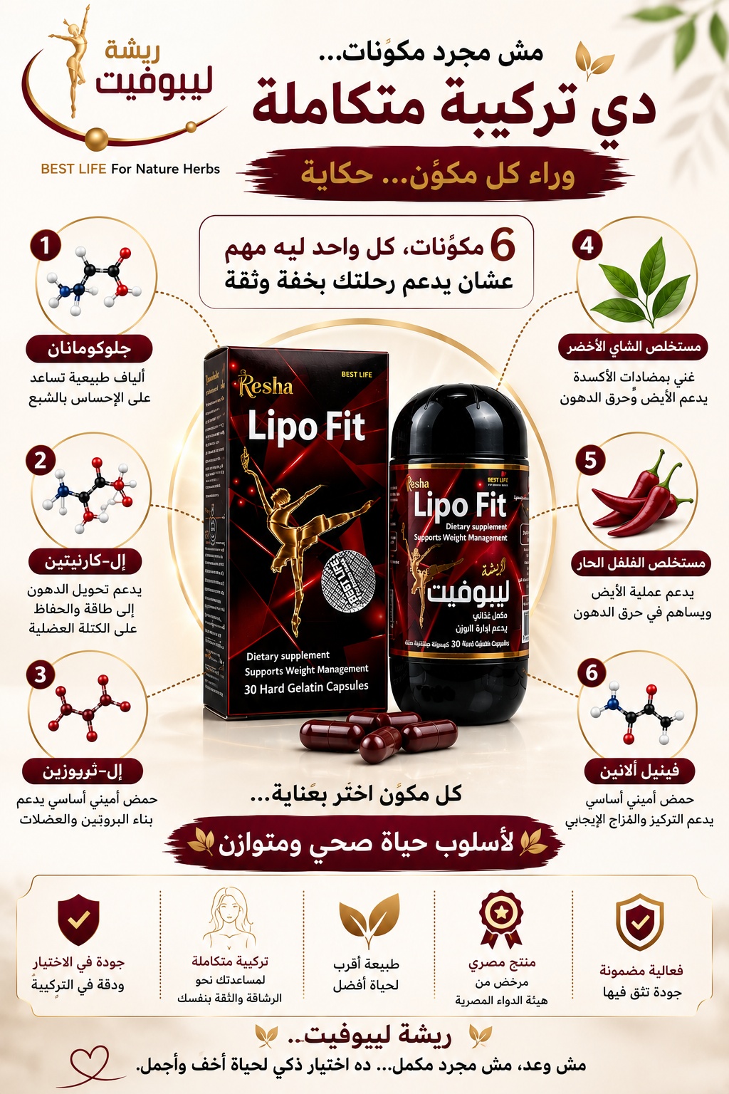 ريشة ليبوفيت | 6 مكونات مختارة بعناية في تركيبة متكاملة لدعم أسلوب حياة صحي