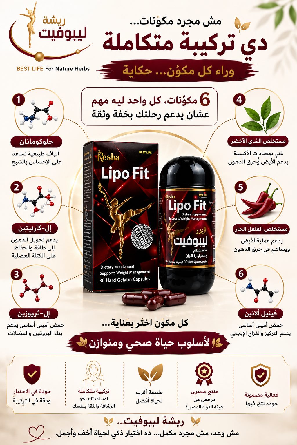 ريشة ليبوفيت | 6 مكونات مختارة بعناية في تركيبة متكاملة لدعم أسلوب حياة صحي