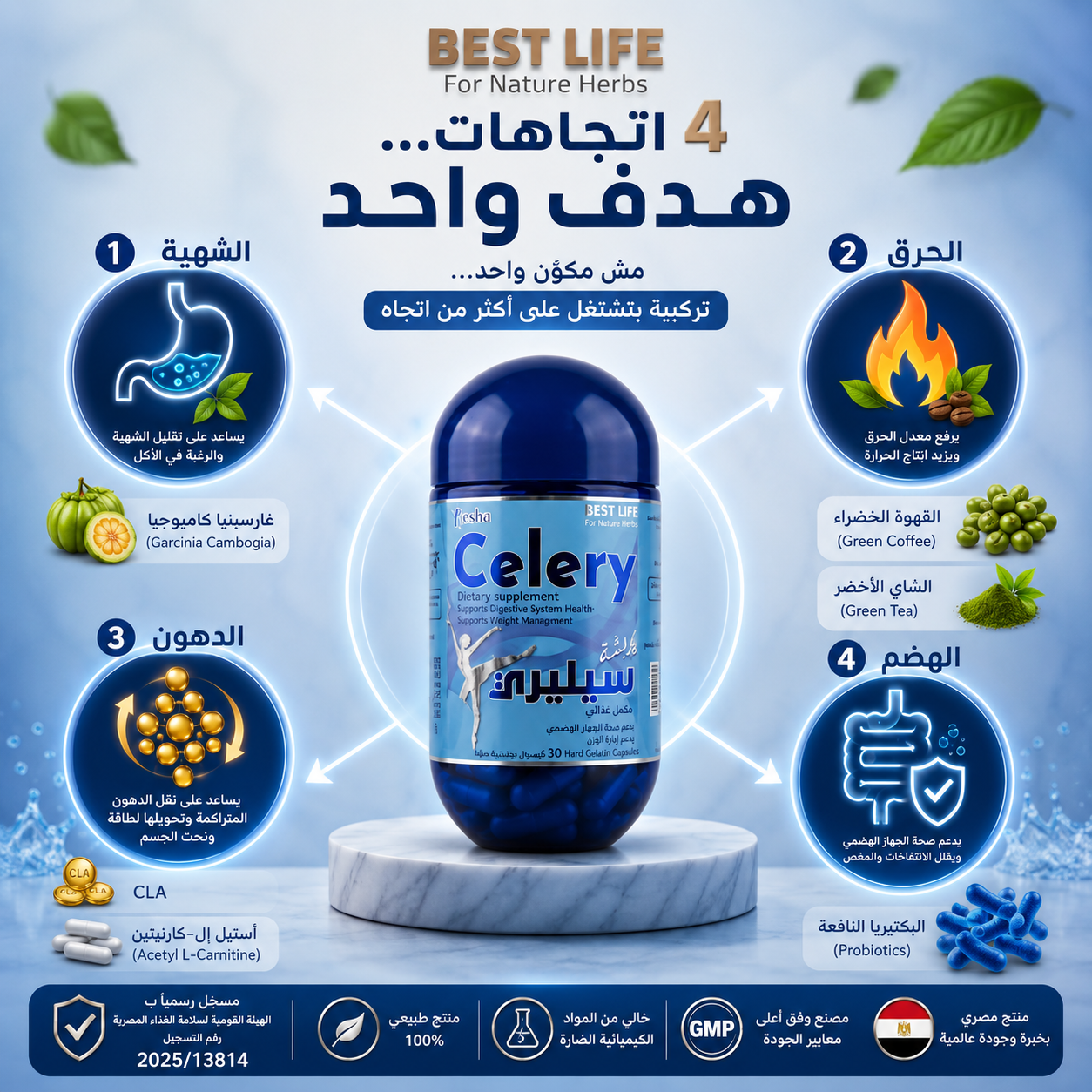 ريشه سيليري Resha Celery | المكونات والفوائد وطريقة الاستخدام