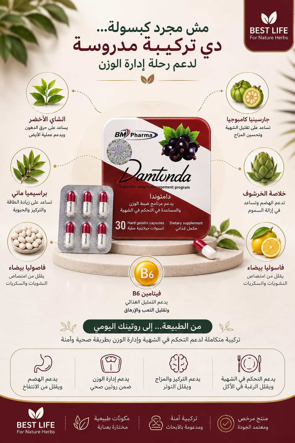 مستخلص الشاي الأخضر (Green Tea Extract): فوائده ودوره داخل تركيبة ريشة
