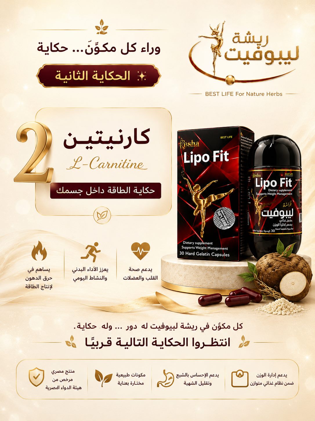 إل-كارنيتين (L-Carnitine): فوائده ودوره في دعم الطاقة وإدارة الوزن
