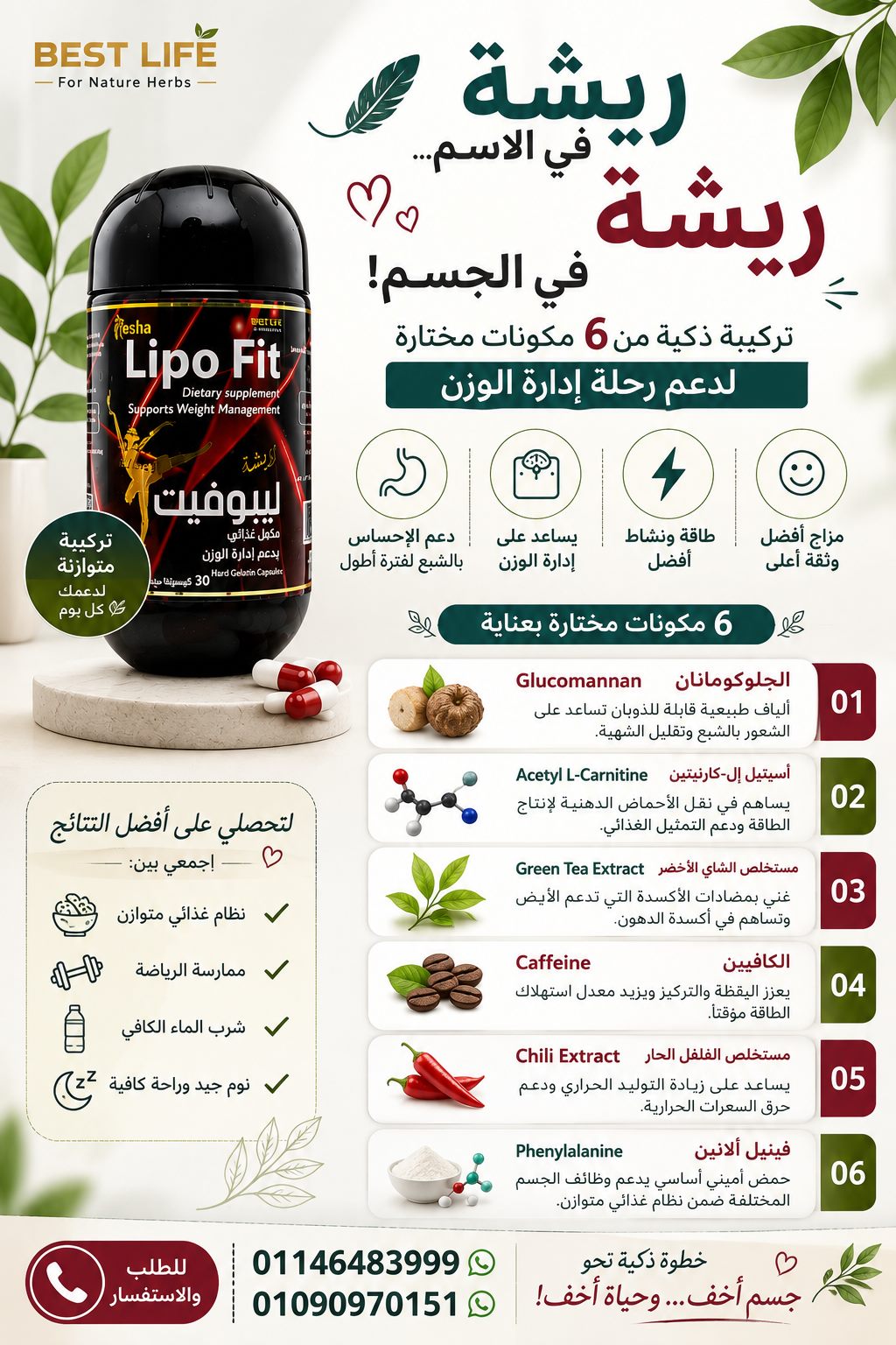 ريشة ليبوفيت | 6 مكونات مختارة لدعم رحلة إدارة الوزن