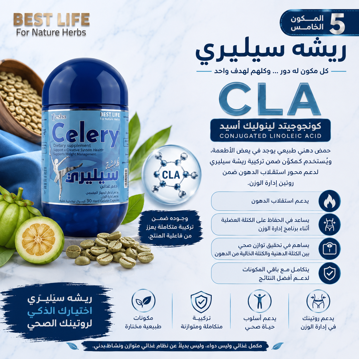 CLA في ريشه سيليري | فوائده ودوره في دعم إدارة الوزن واستقلاب الدهون